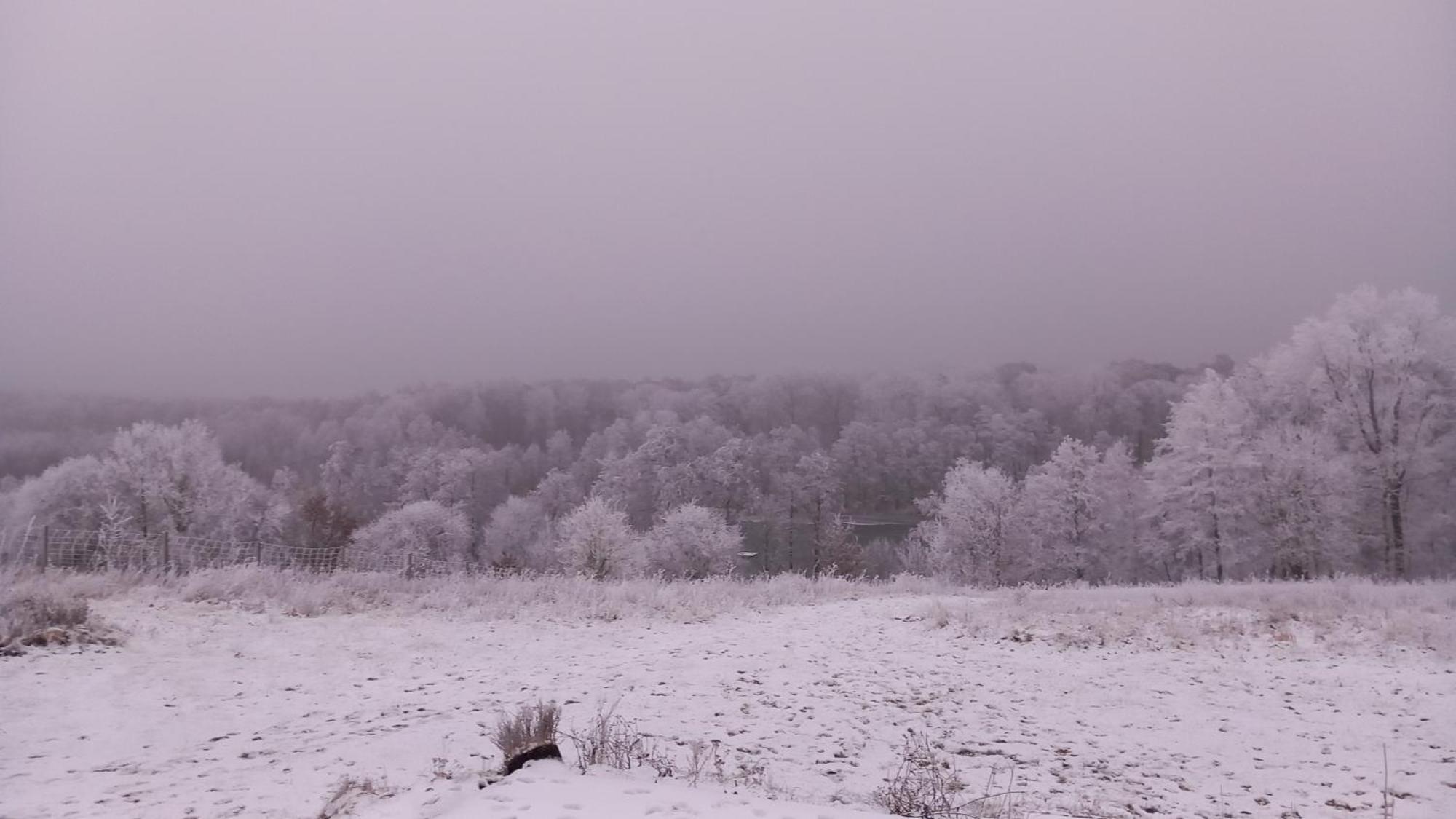 Vila Mylin Chrzypsko Wielkie Exteriér fotografie